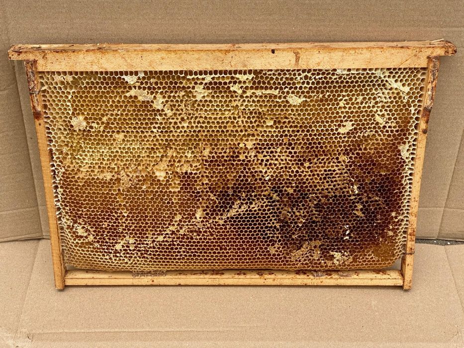 Продам сушь пчелиная,рамки