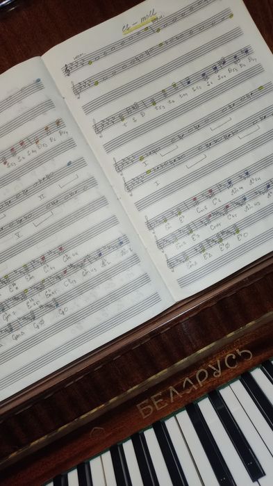 Вокал, Фортепиано, Гитара(Классическая, Электро, Бас), Укулеле