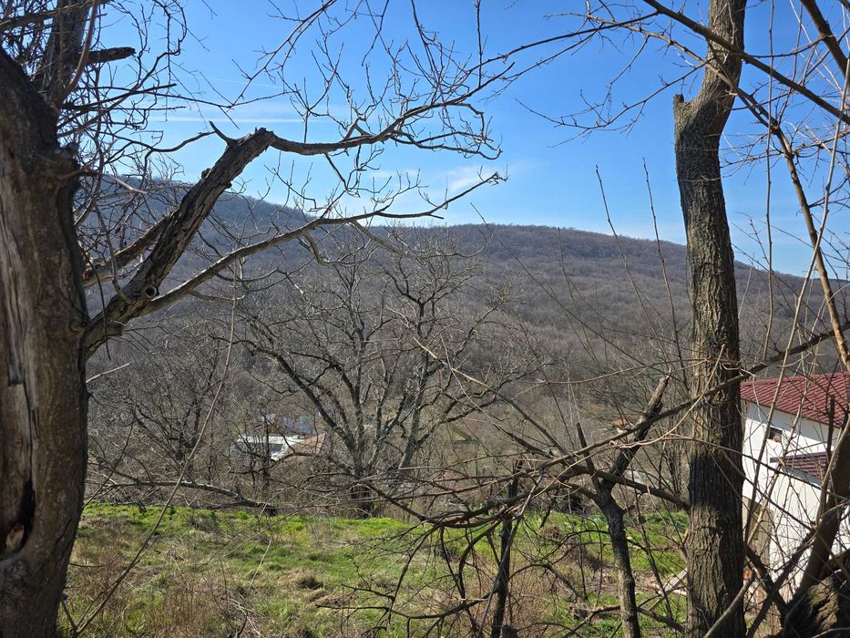 Парцел в Малки чифлик