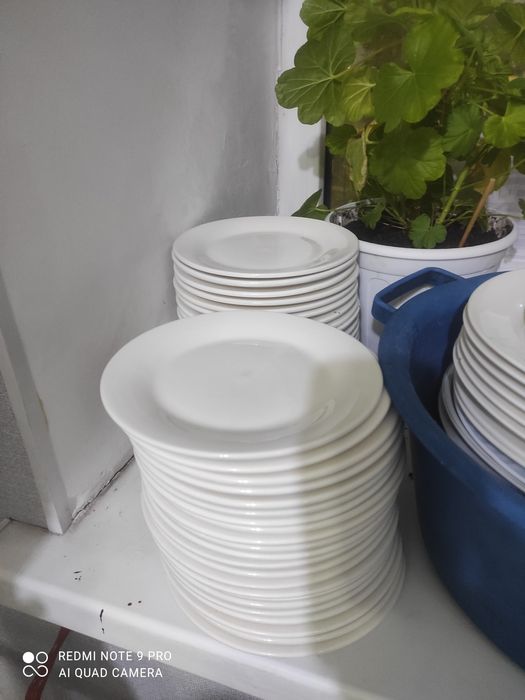 Тарелки для бизнеса в кафе