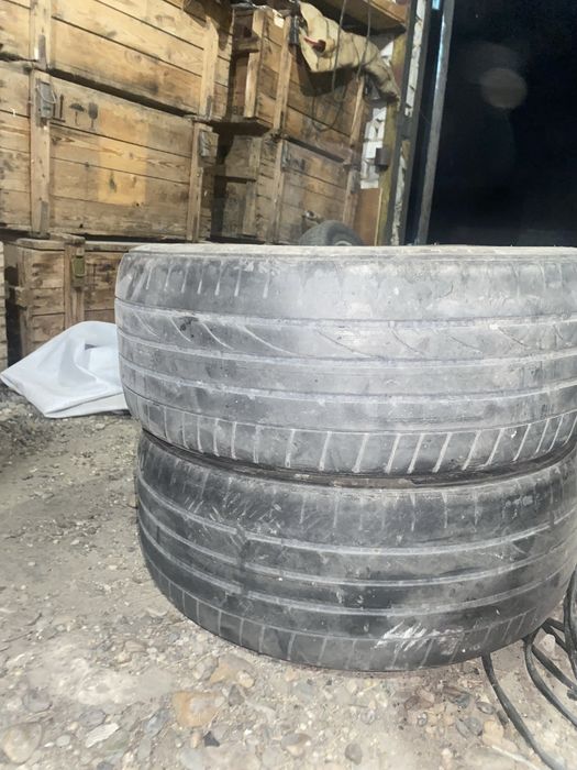 Пионер дельфин продам
