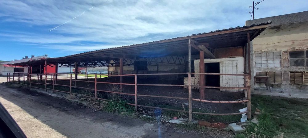 Продава се Промишлена сграда в с. Рибен, Област Плевен - 4100 кв.м за 57 €/кв.м - Снимка #9