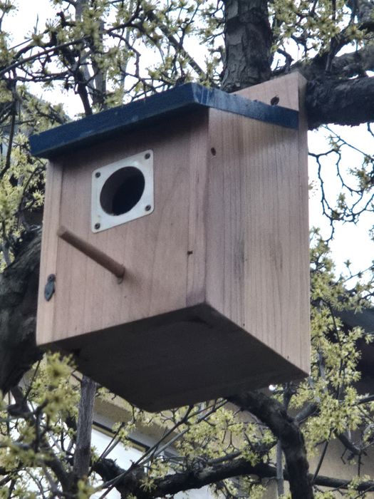 Къщичка за птички от масив