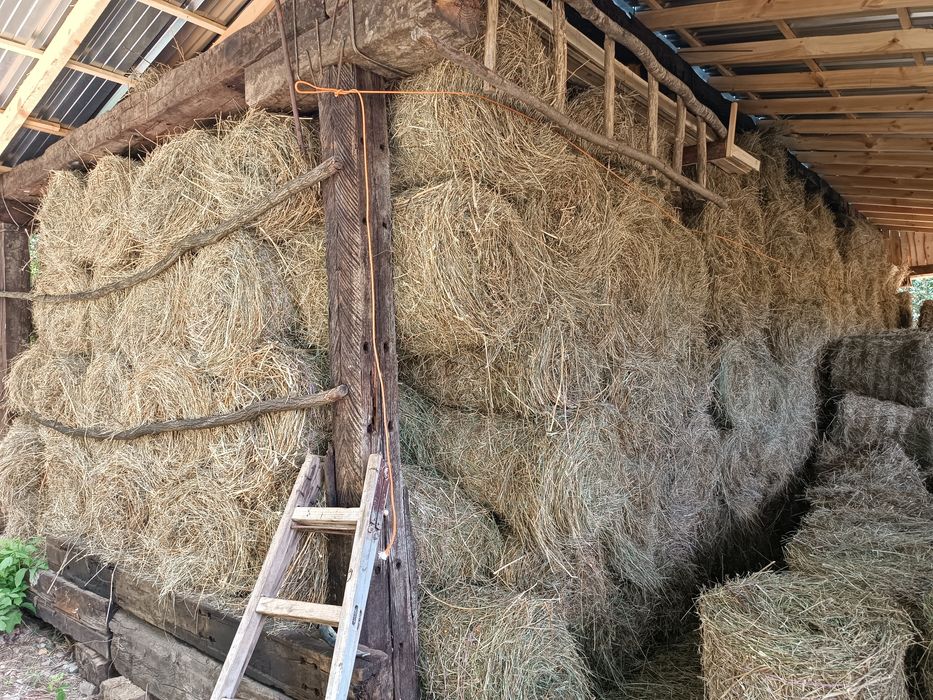 Малки ролонни бали