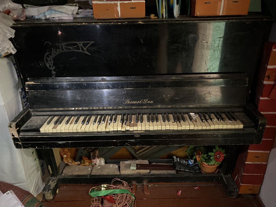 музыкальный инструментты