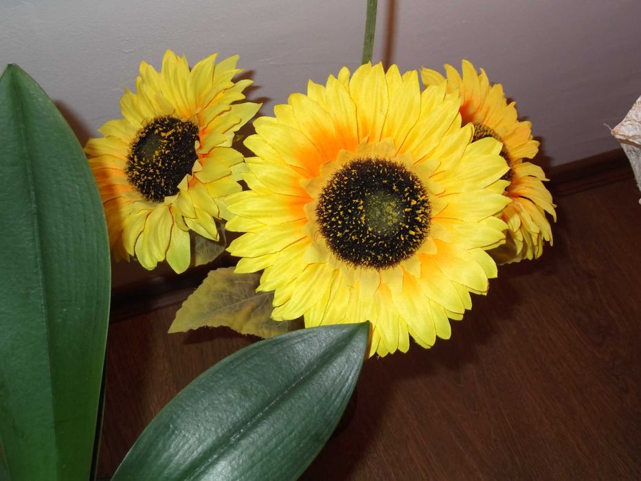 Fujifilm Finepix T350 14 MPx