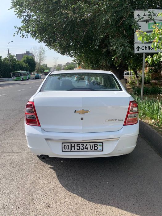 Cobolt bas bor naqtga faqat