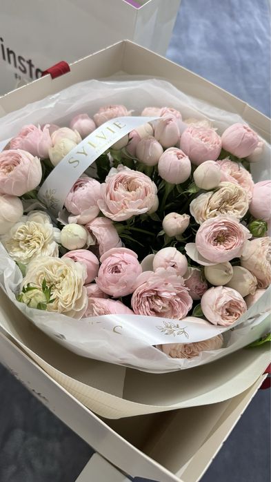 Пионы (сегодня купила)