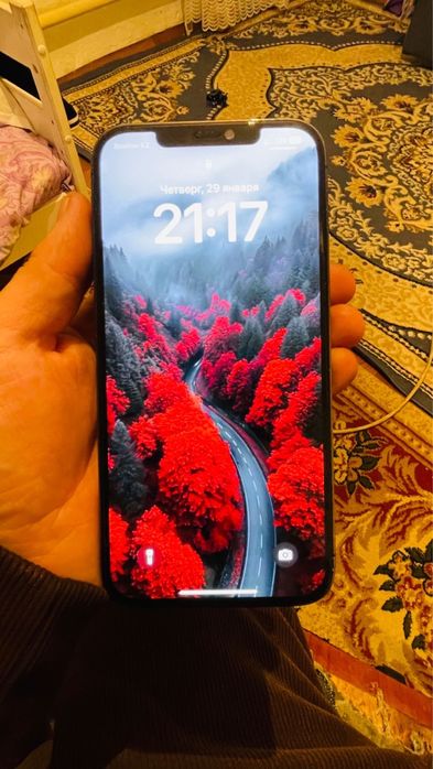 Айфон 12 про макс