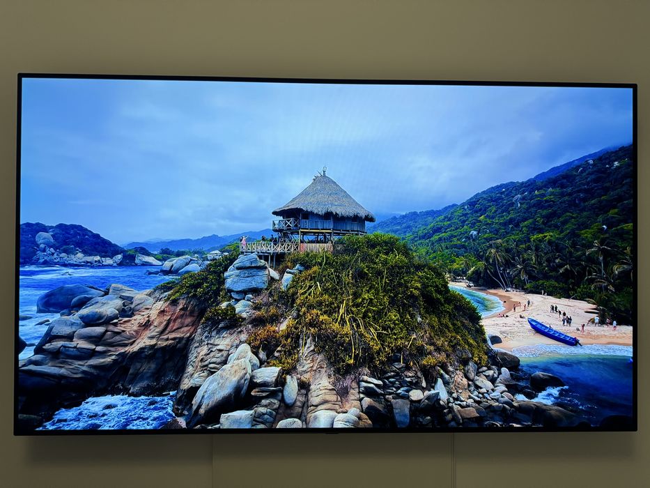 TV OLED LG 65 inch (164 cm) Clasa Premium