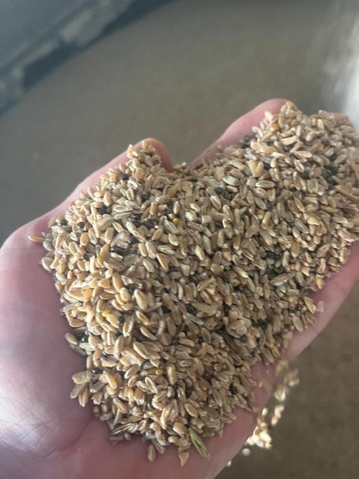 Отруби Отходы Полова Зерноотходы