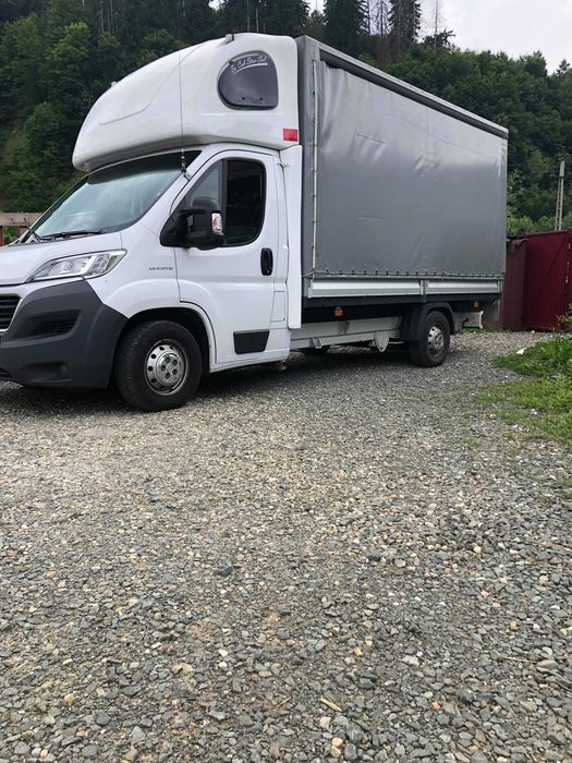 Transport marfa/Diverse/Mobila/Manipulare/Mutare