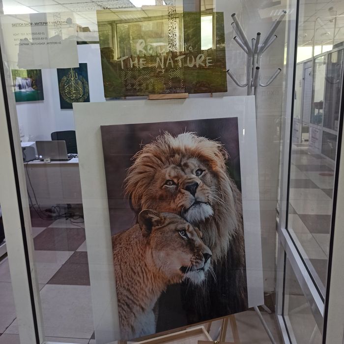 Интерьерные картины , качественная печать