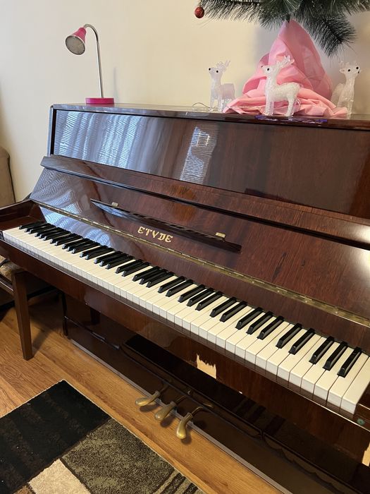 Акустично пиано Etyde, 3 педала
