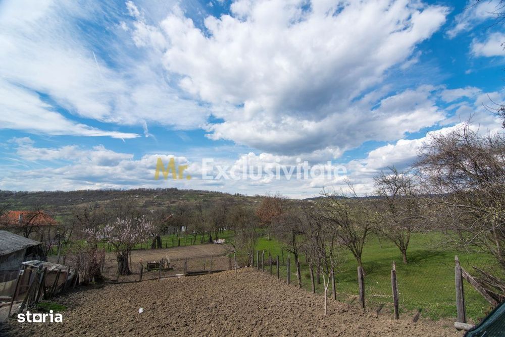 Casa gata de mutat+teren 1000 mp in Mihaesti,jud. Arges