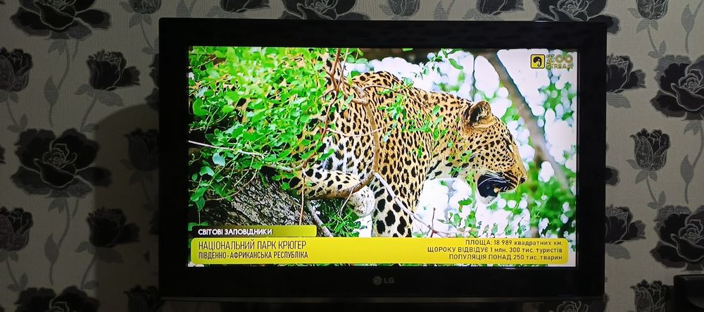 Телевизор LG 32 дюйма корейский