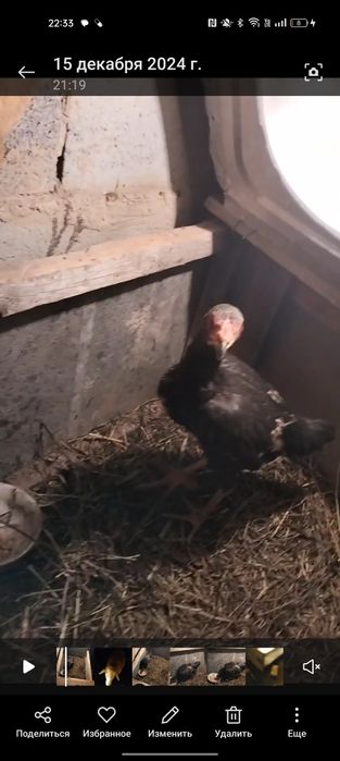 Напишите или заоните погаварим