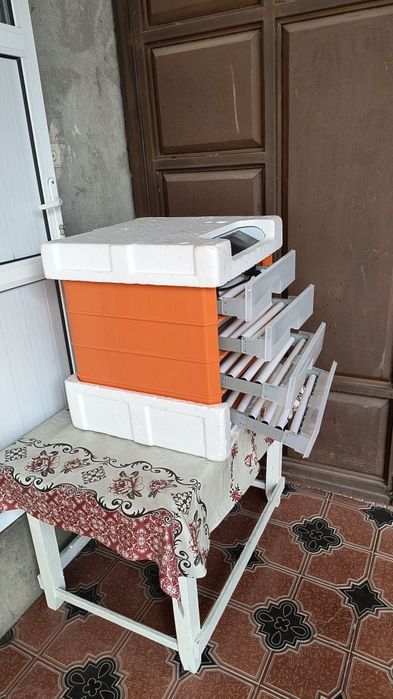 Инкубатор Птицевод