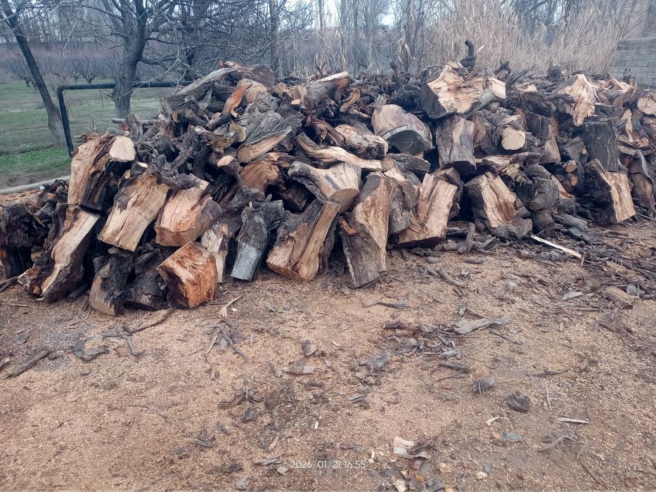 Quruq oʻtin sotiladi