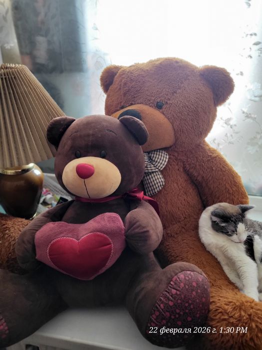 Продам мягких мишек