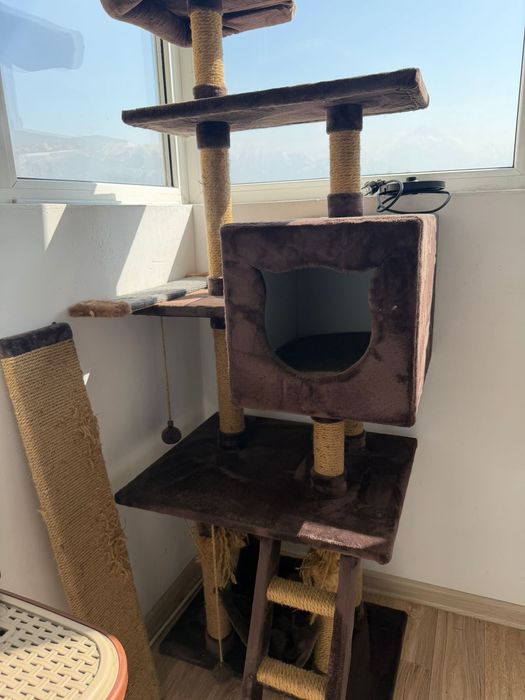 Продам домик для кошек