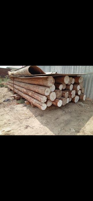 Томарлар сатылады.