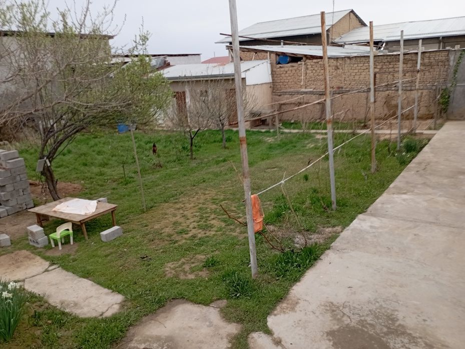 6 sotix 4 xona oshxona vana Hojatxona lari bor honalar imulsa qilingan