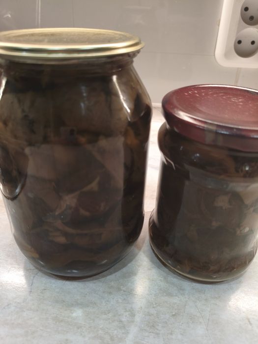 Грибы опята маринованные
