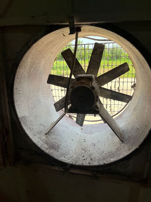 Vand echipament/utilaje de crestere a puilor de carne