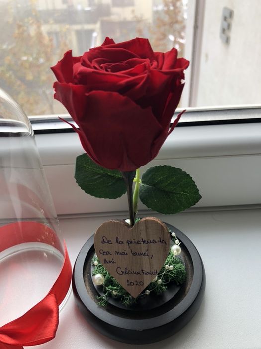 Cupola cu trandafir rosu criogenat