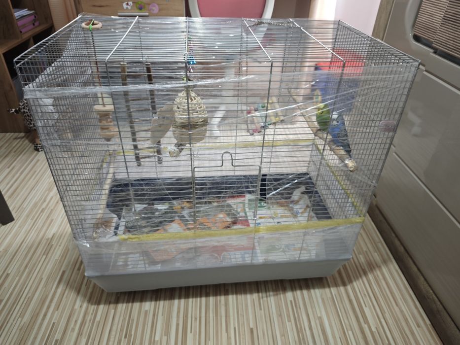 Colivie pentru papagali, peruși, nimfe etc