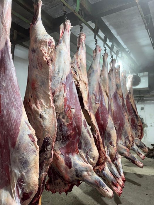 Говядина полтуши