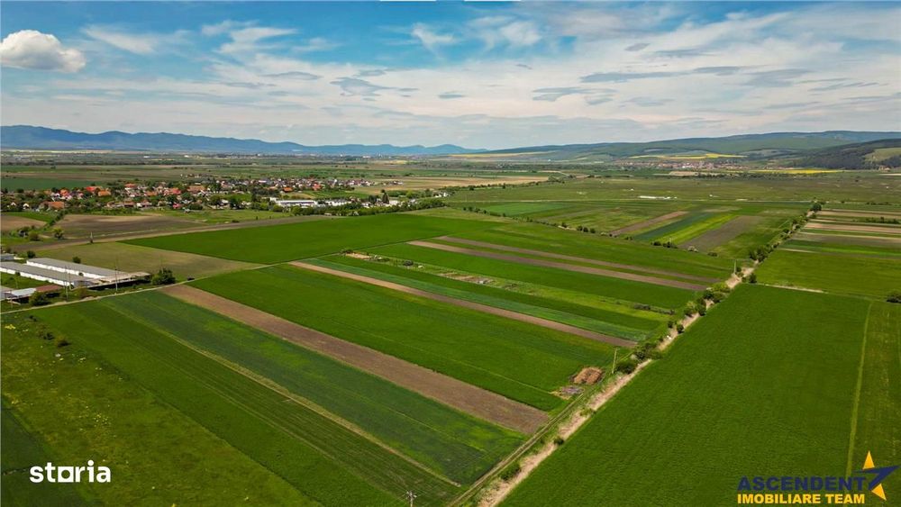 FILM! Teren extravilan 5.000 mp in zona linistita cu acces facil, Bod,