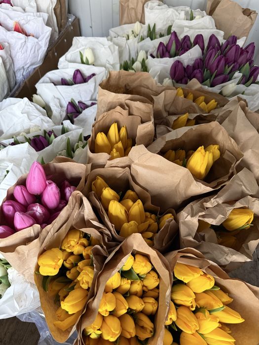 Тюльпаны и розы от 800тг