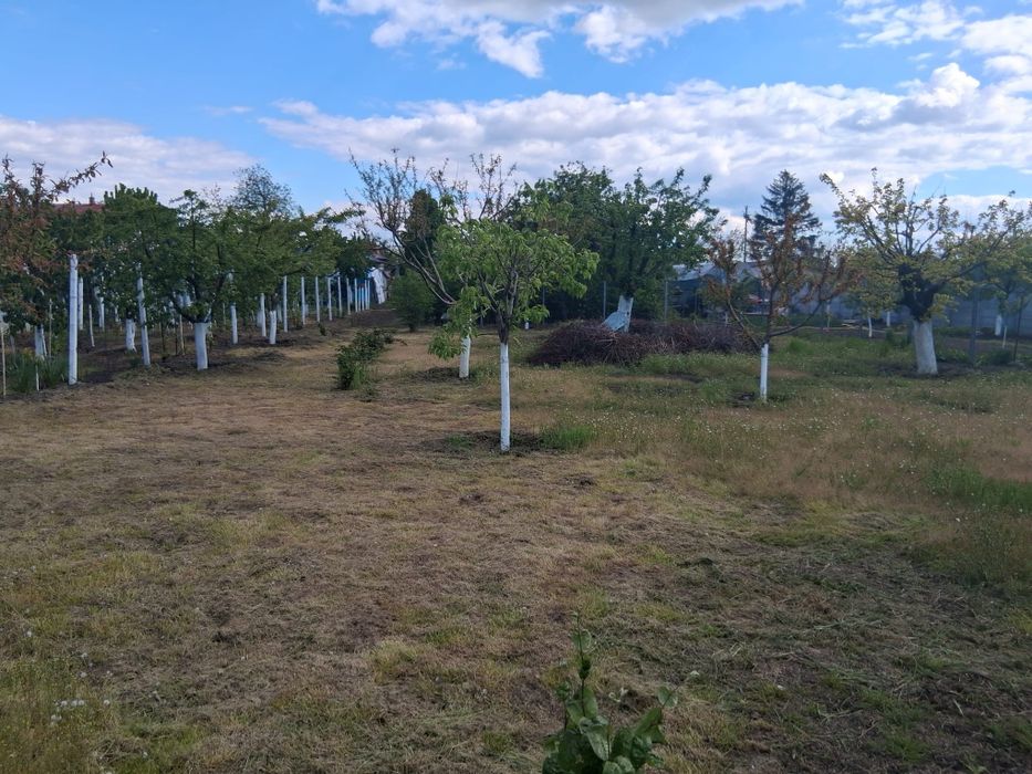Teren de vânzare comuna 1 Decembrie