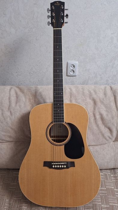 Акустическая гитара Prodipe Guitars SD25 
Вместе с чехлом emuzin