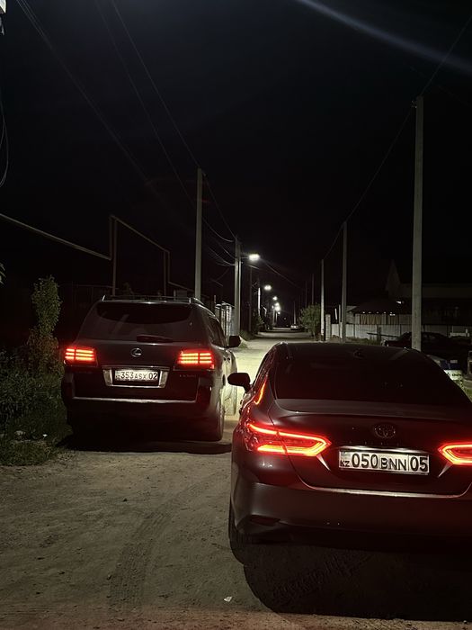 Трезвый водитель