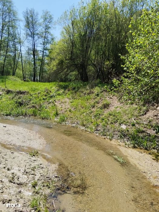 Teren de vis la munte – 7.795 mp – construibil – pârâu, pădure