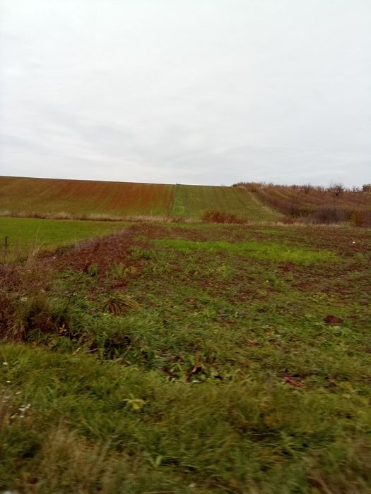 Vând 1 ha Les+ Nojorid cartier nou