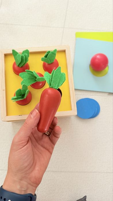 Лот Дървени Montessori играчки Hape и др.