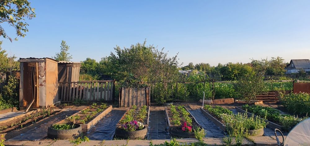 Продаётся дача, Черемушки