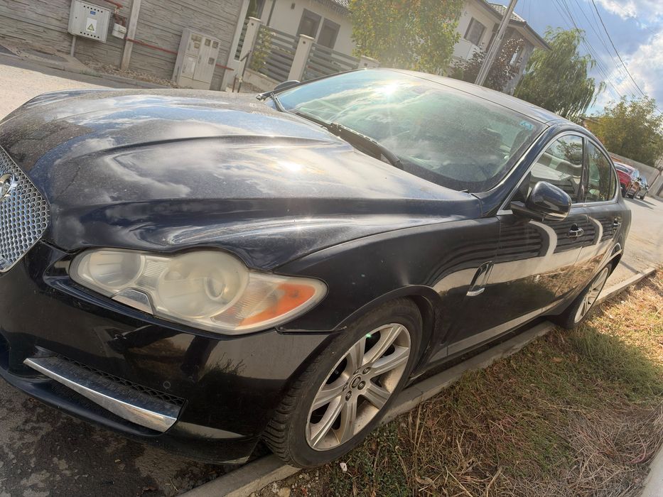 Jaguar de vanzare
