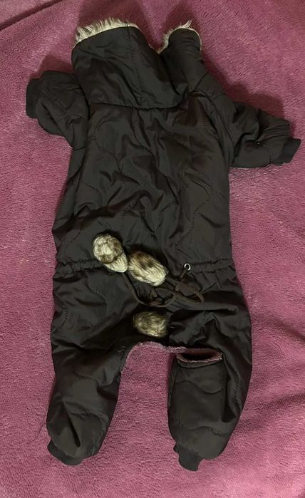 одежда для маленьких собак