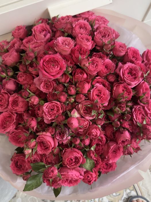 Цветы свежий нормально большой