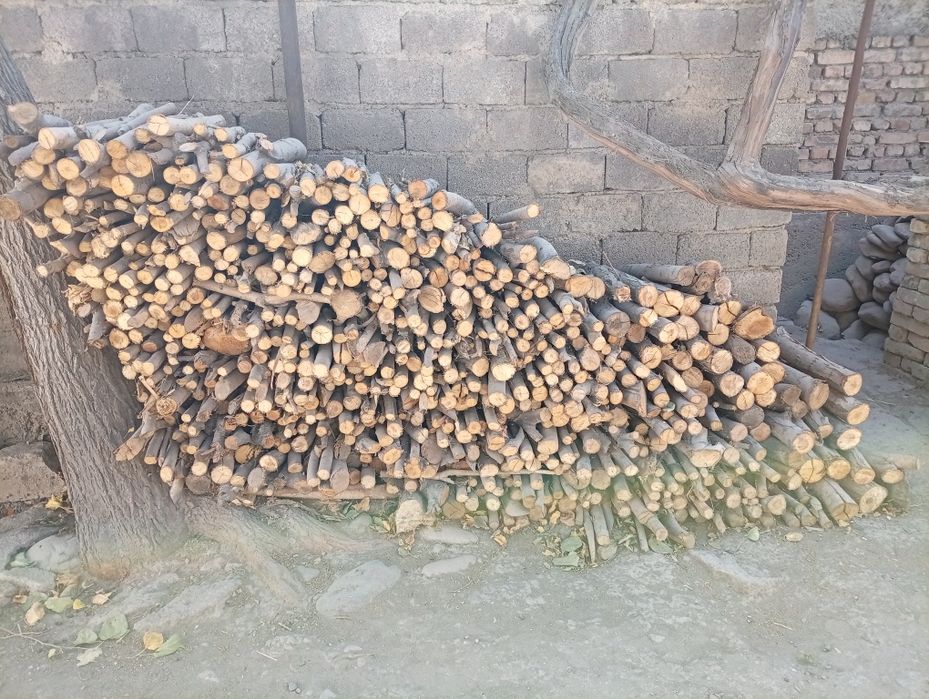 Ўтинлар сотилади ҳар ҳил.