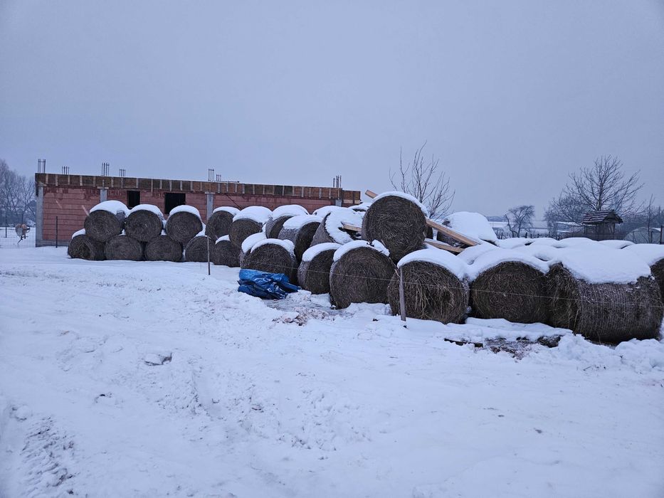 Vând baloți rotunzi de paie