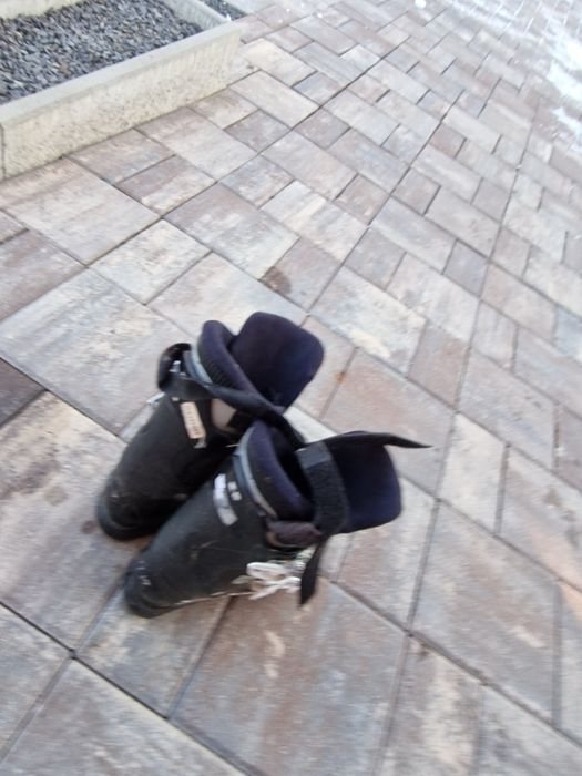 Vand clăpari Salomon