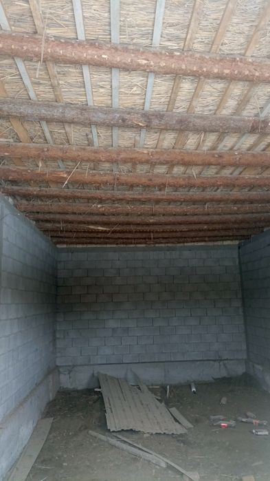 Dakumenti noturar auktsionda olingan