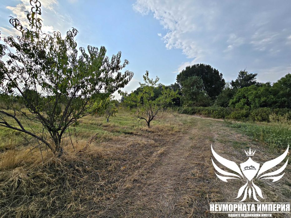 Продава се Парцел в с. Боянци, Област Пловдив - 29000 кв.м за 5 €/кв.м - Снимка #1