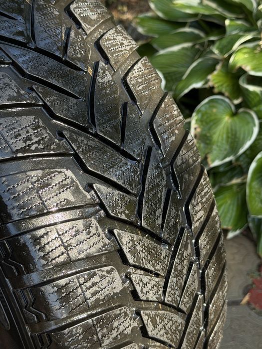 Шина Dunlop Grandtrek